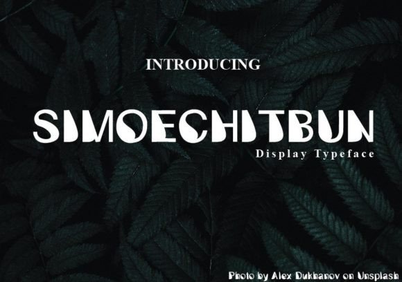 Embracing Imperfection: The Design Power of Simoechitbun