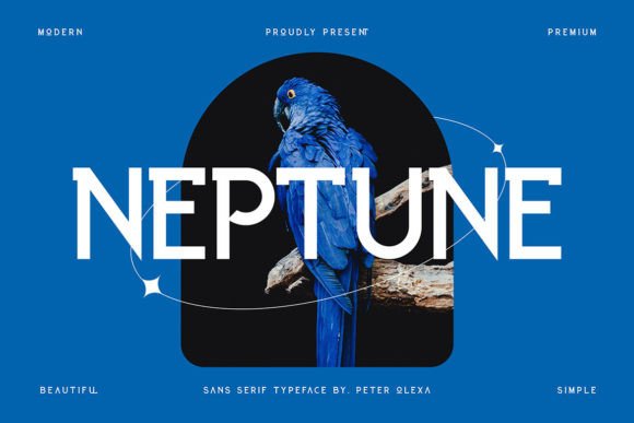 Integrating Neptune: A Strategic Approach to Modern Typography in Professional Workflows